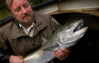 These Chinook almost went extinct during California’s drought. Can this $100 million plan save them?