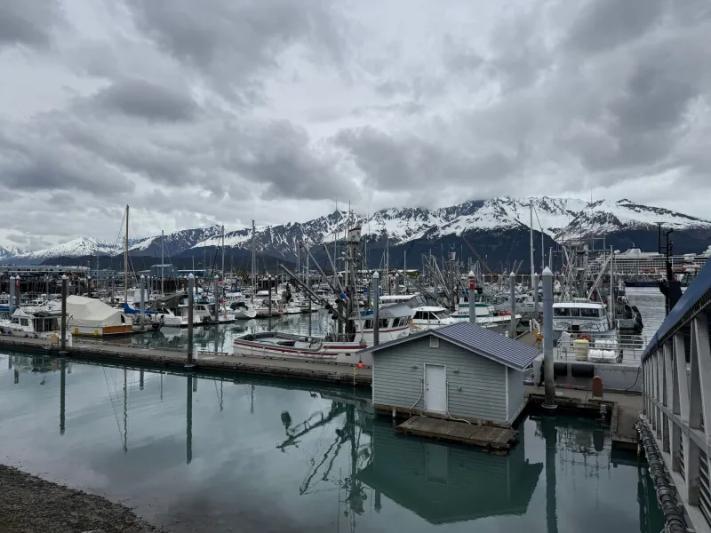 Cold Water, Cool Planet: The Science Behind Wild Salmon's Surprisingly Small Carbon Footprint