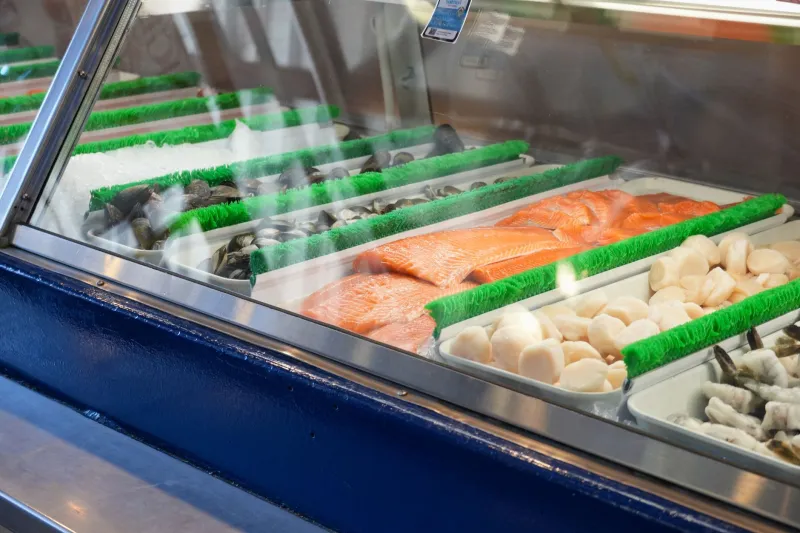 The Credentialed Fish Counter: Why Wild Salmon Deserves Its Own Class of Expert