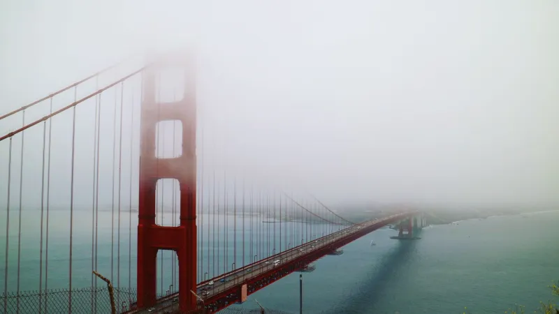 Where Ocean Meets River: The Singular Science Behind Bay Area Wild Salmon's Exceptional Character