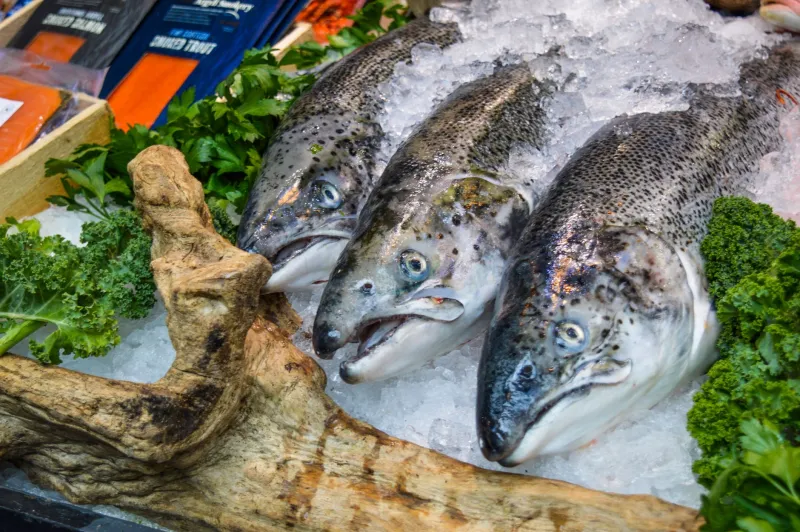 Eating With the River: A Month-by-Month Guide to Wild Salmon at Its Best