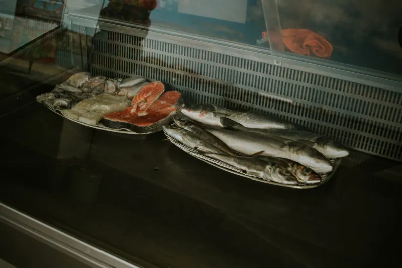The Real Price of Salmon: How Wild-Caught Beats Farmed When You Actually Run the Numbers